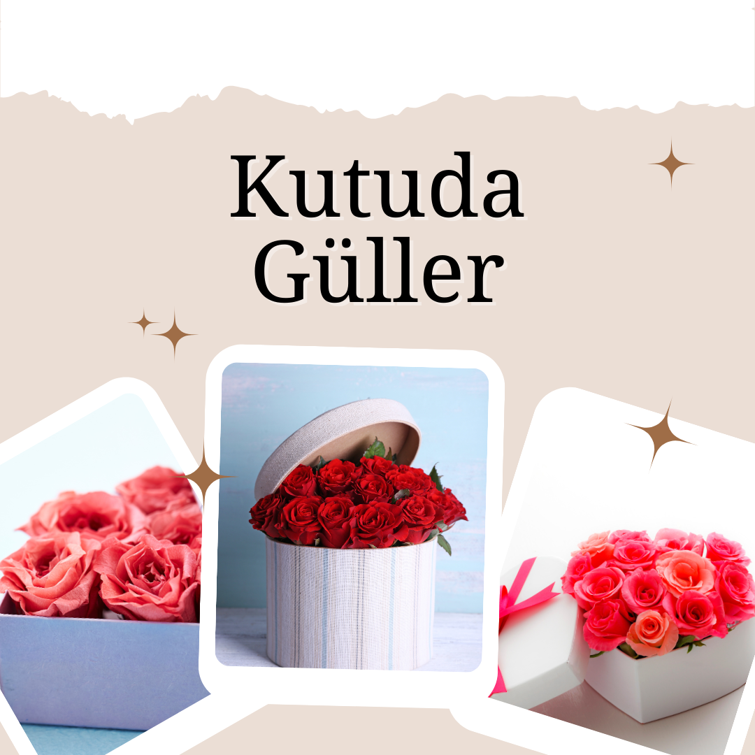 kutudagül