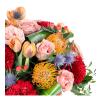 Anastasian Arrangement