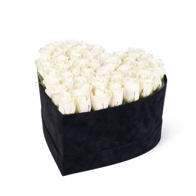 Dev Süet Kalp Kutuda Beyaz Gül