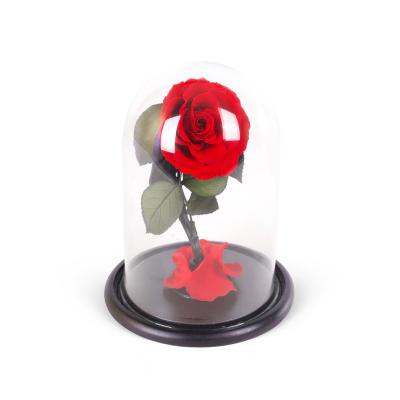 Solmayan Gül - Infinity Rose Positano