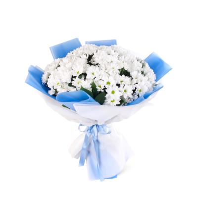 Beyaz Papatya Buketi